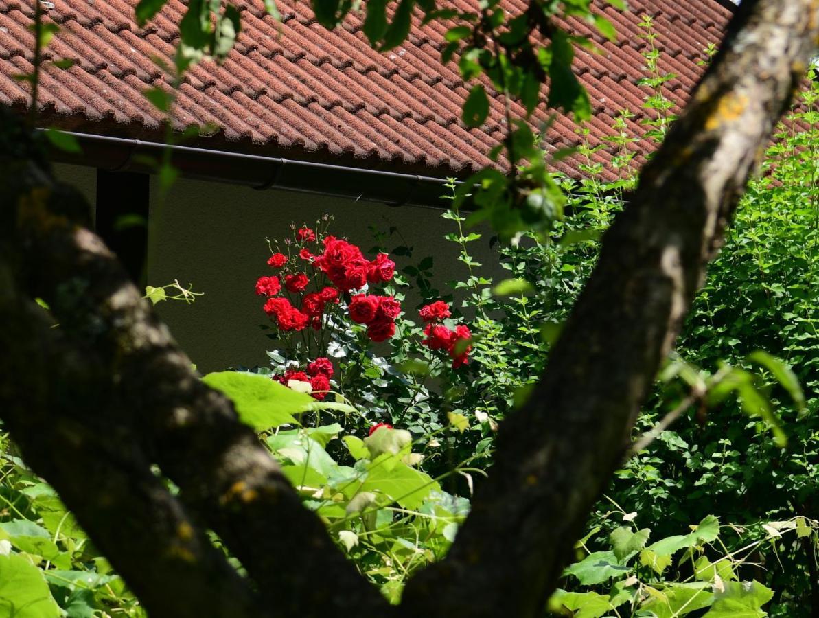 Apartments Marija Rakovica Exterior foto